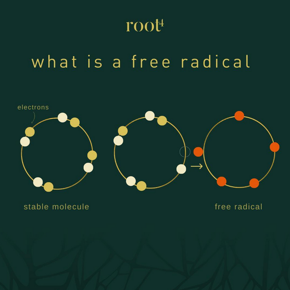 DR L PROTOCOL: ANTIOXIDANTS