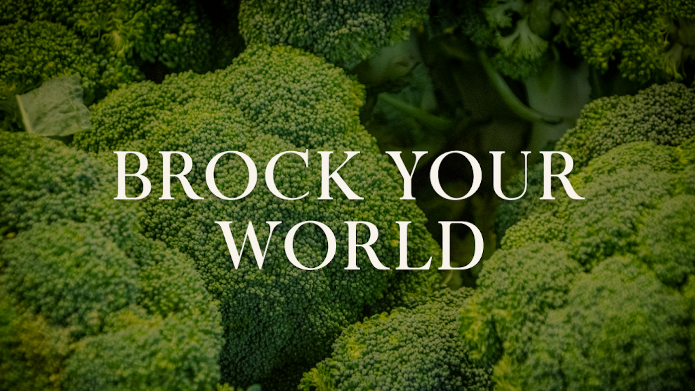 Brock your world