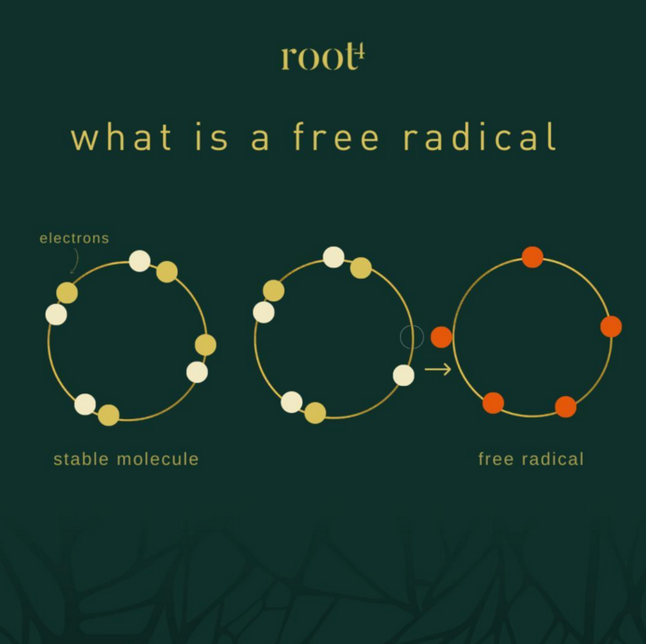 DR L PROTOCOL: ANTIOXIDANTS