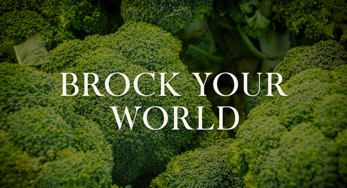 Brock your world