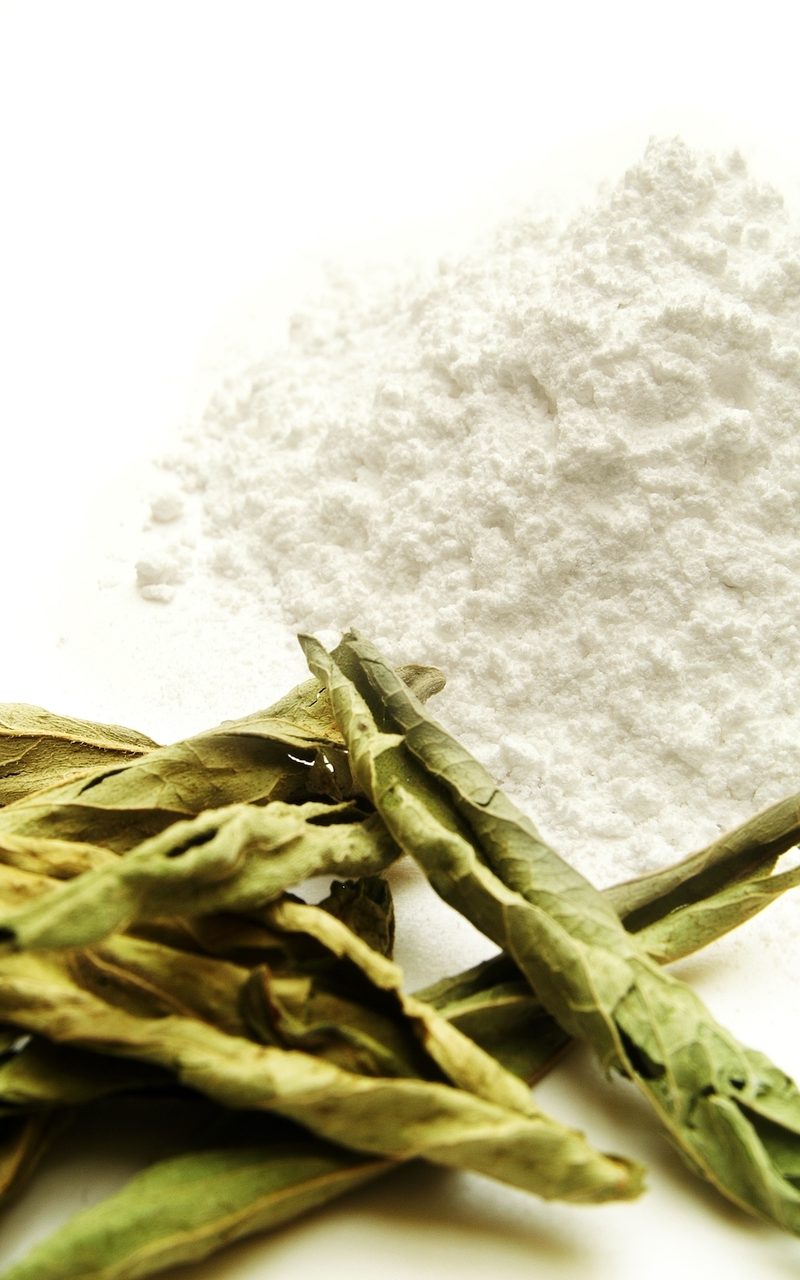 Fructose rich actives