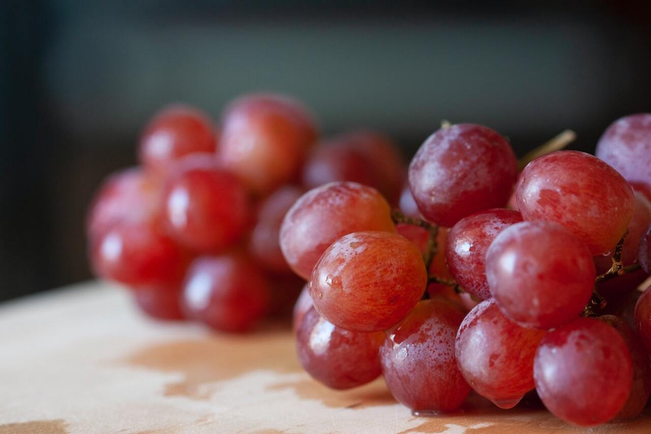 RESVERATROL