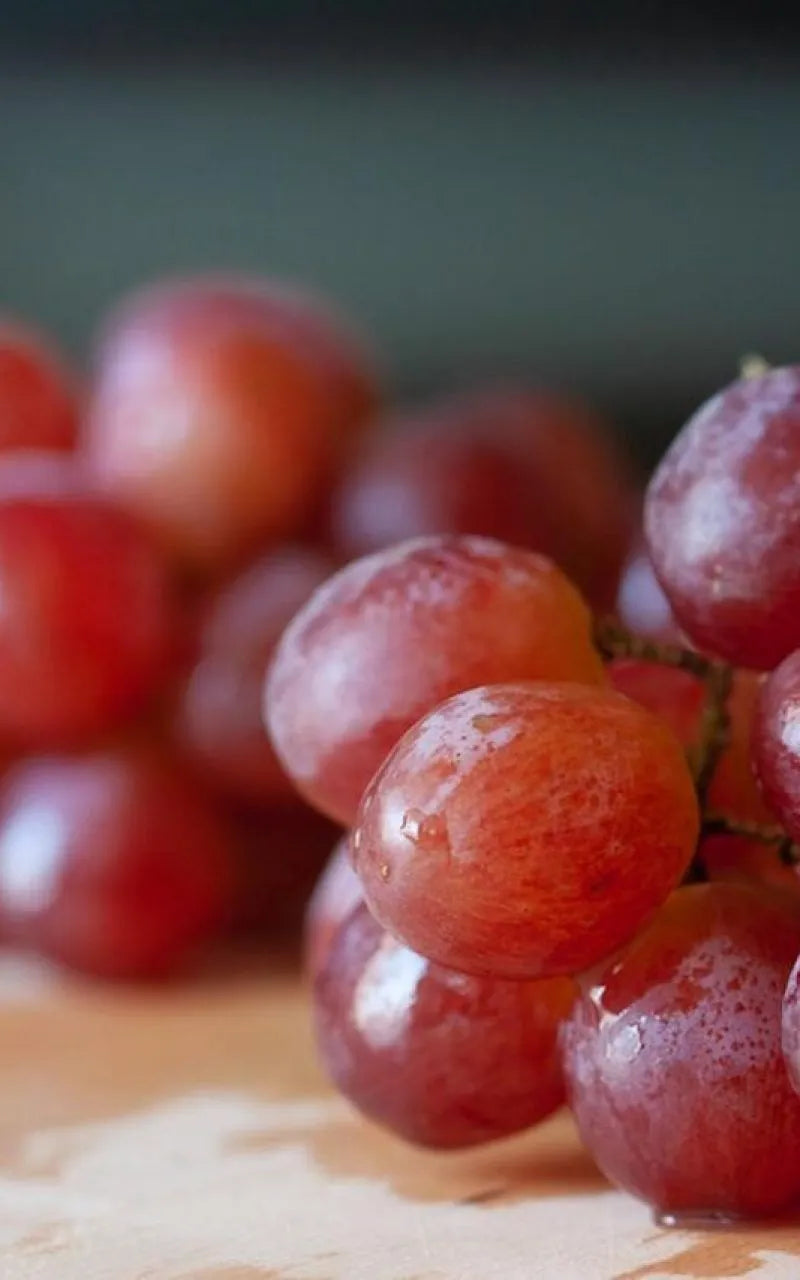 RESVERATROL