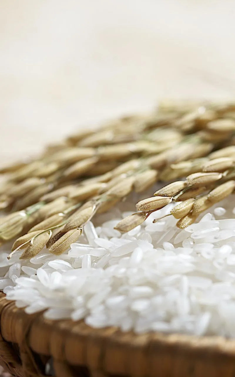 Rice Bran