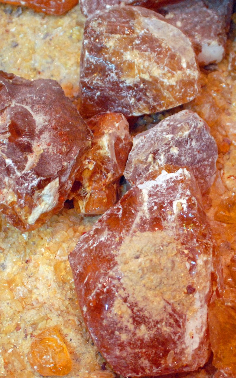 Sacred frankincense