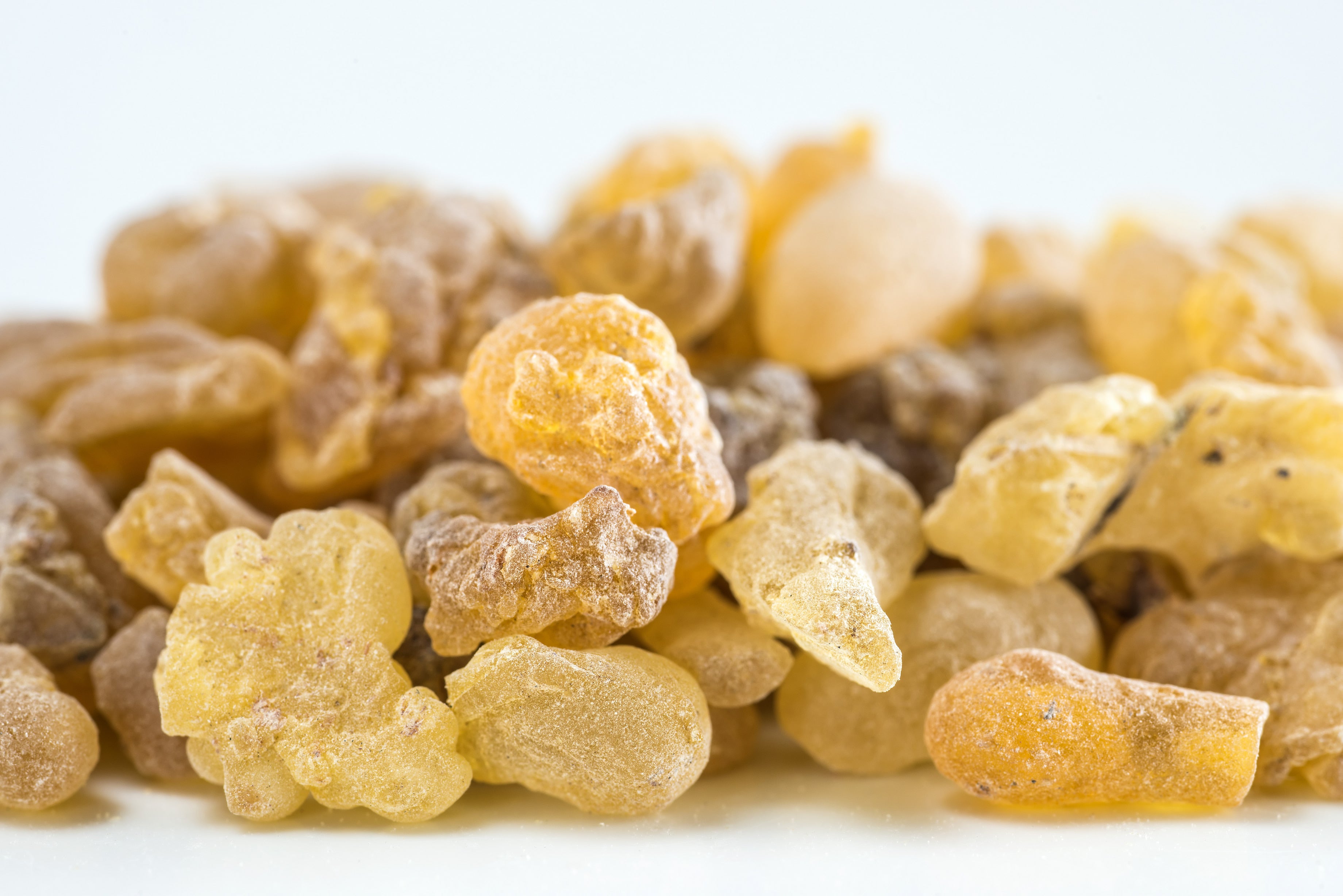 boswellia serrata