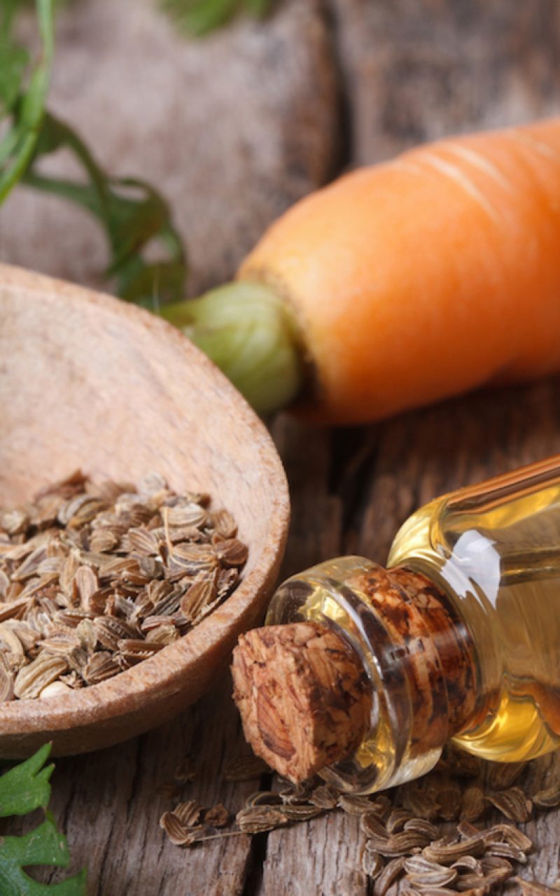 carrot seed oil