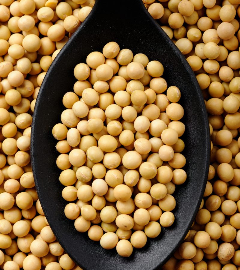 glycine soybean protein