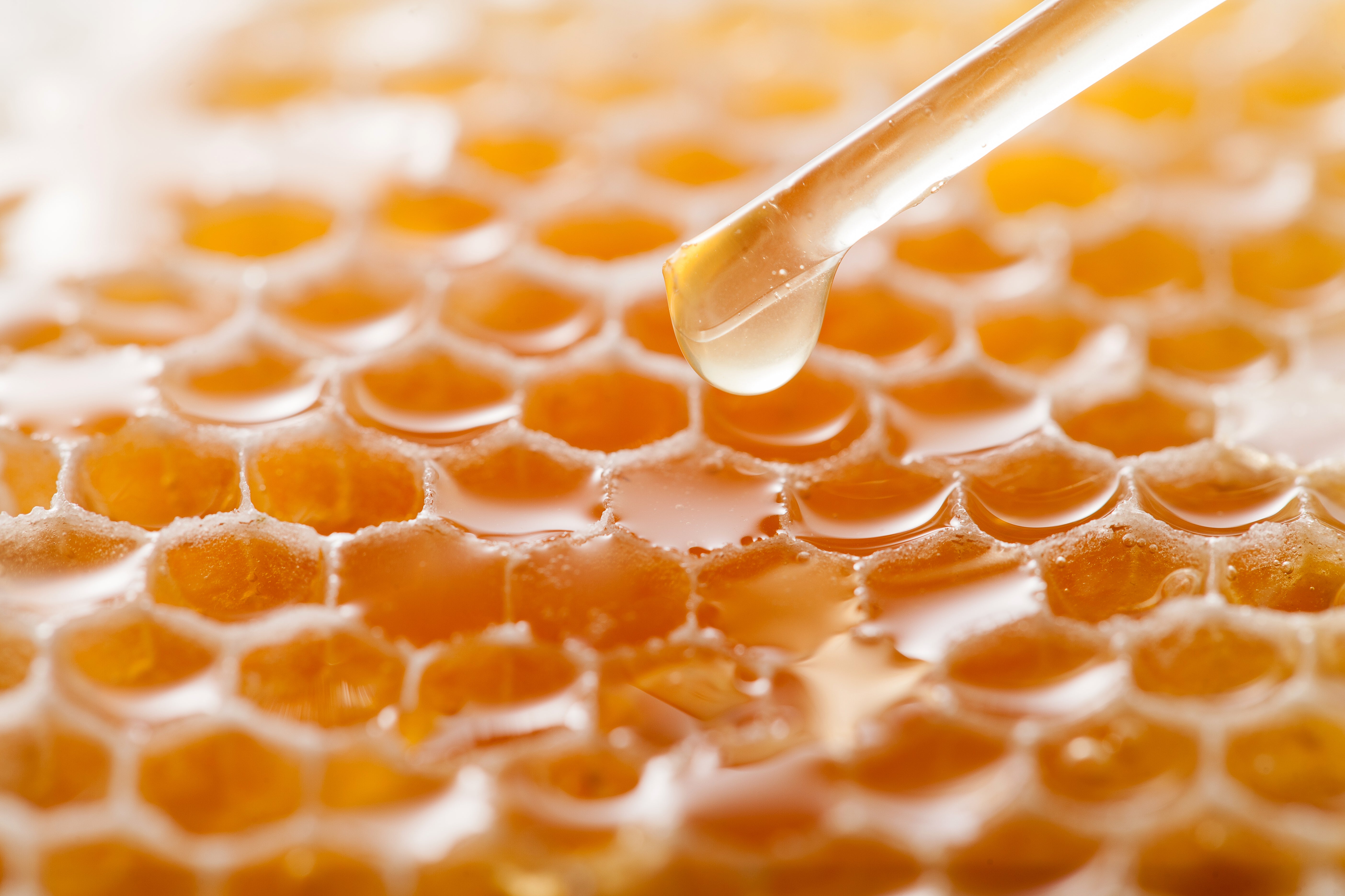 honey
