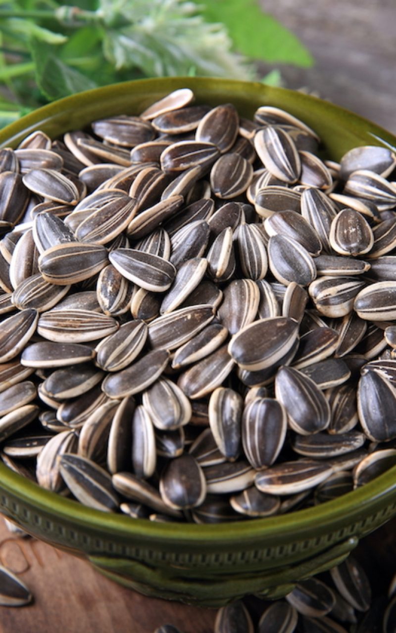 sunflower seed oil