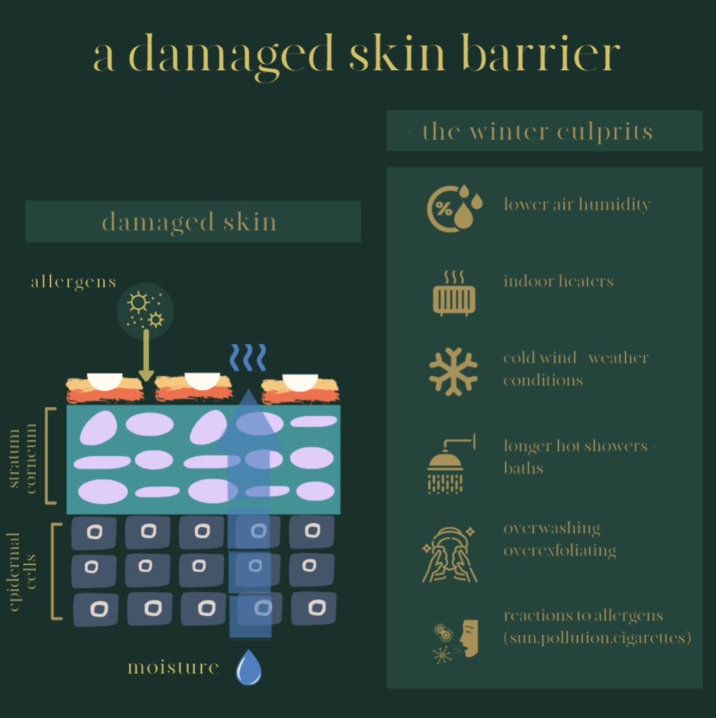 a damaged skin barrier