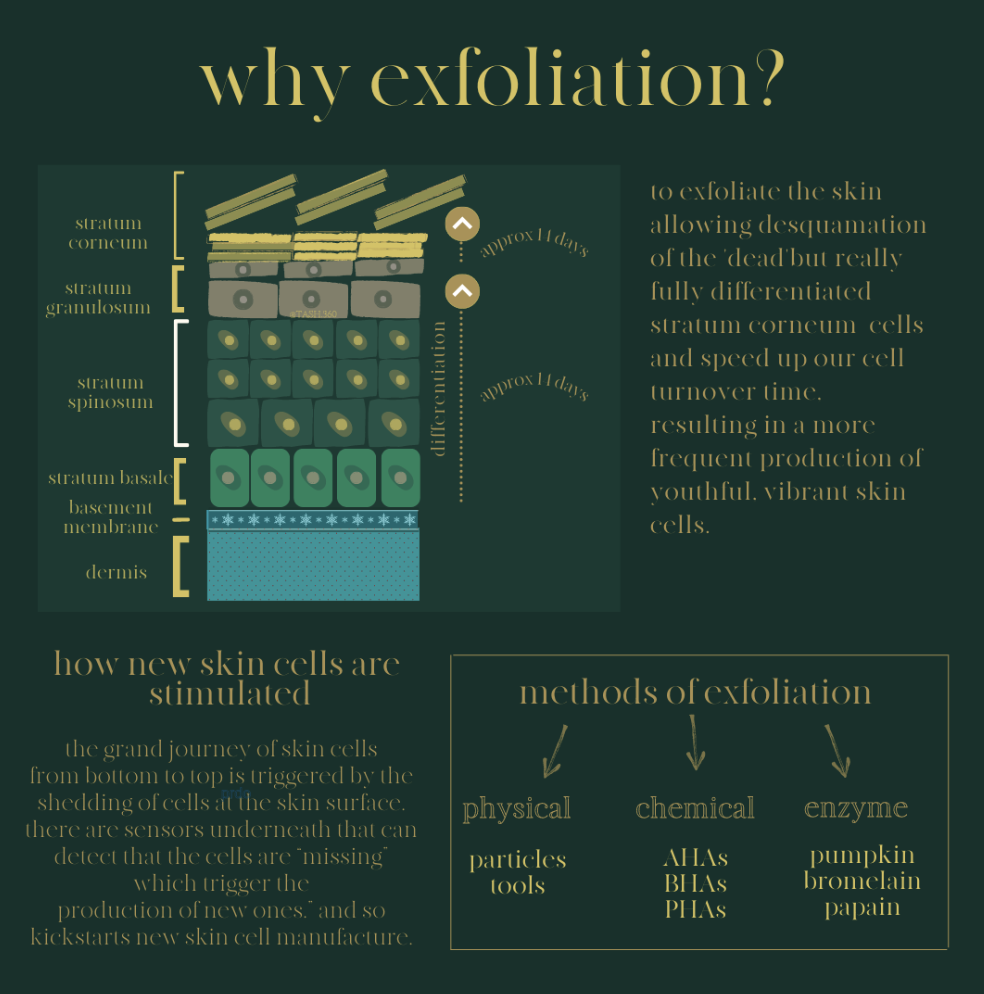 Why should you exfoliate your skin?