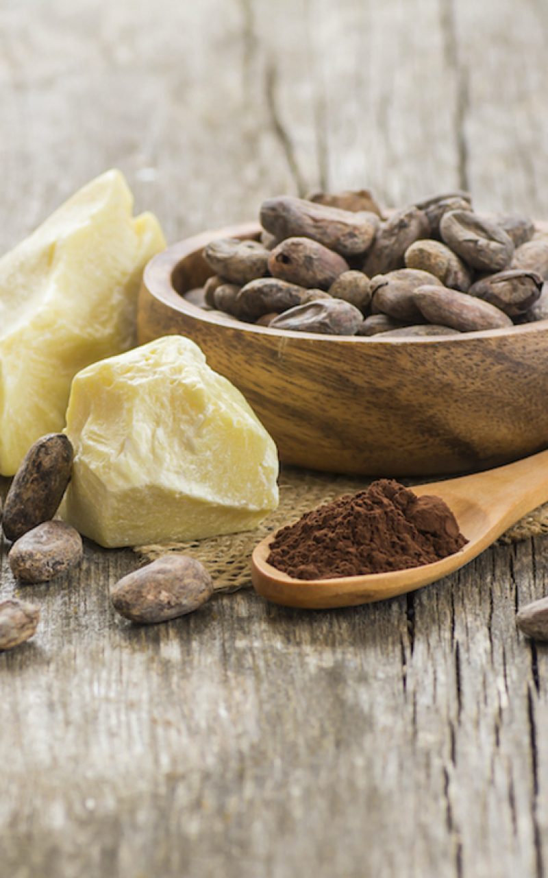 Rich in fatty acids, mainly oleic (35%), stearic (34%), and palmitic (25%) fatty acids, cocoa seed butter is manna for parched skin. Studies have found that cocoa seed butter improves skin tone and elasticity and boosts the skin’s natural moisturizing factors (the GAGs) which play such an important role in the skin barrier. It also boasts polyphenols and is an antioxidant powerhouse with high levels of Vitamin E.
Found in: Face Crème Originale